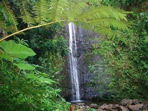 Breathtaking Waterfalls of Hawaii | Only In Hawaii