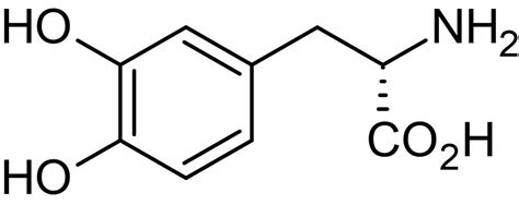 L-DOPA, Dopamine (ab120565) precursor (CAS 59-92-7) (ab120573) | Abcam