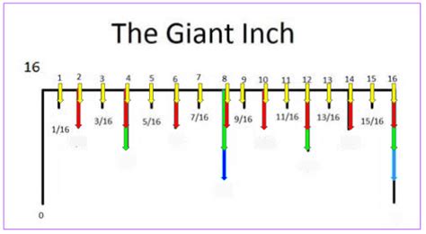 The Giant INCH Diagram | Quizlet