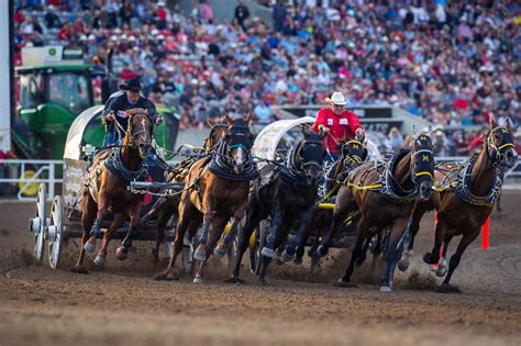 Is Calgary Stampede really the ‘Greatest Show on Earth ...