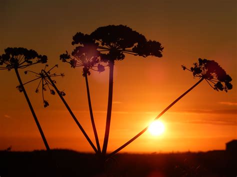 Sunset, Alderney | Alderney, Sunset, Outdoor