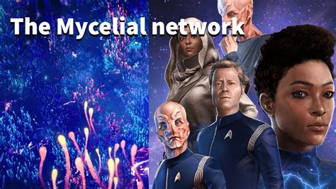 First Look at the Mycelial Network in Star Trek Fleet Command - YouTube