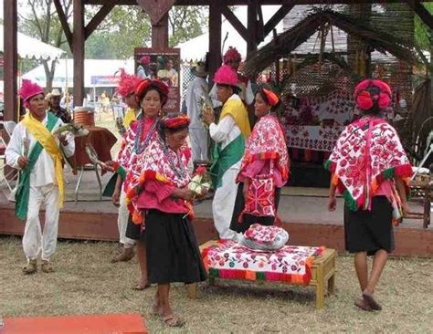 Cultura Gastronómica: Etnias: mayo 2012 | Folk dresses, Folk dance, Panuco