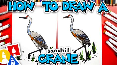 How To Draw A Sandhill Crane Bird - Art For Kids Hub