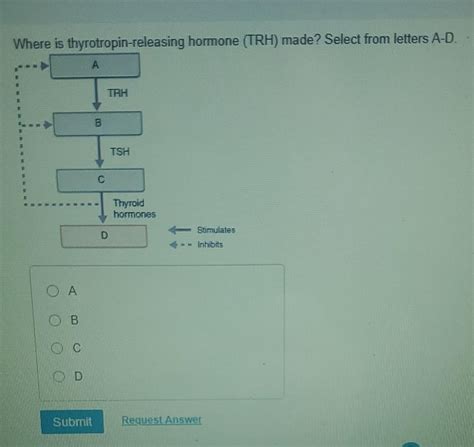 Solved Where is thyrotropin-releasing hormone (TRH) made? | Chegg.com