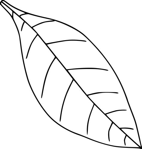 What Is A Simple Leaf