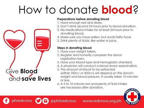 PH Blood Donors Month: FAQs, myths on giving blood | Inquirer News