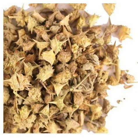 Dried Gokhru Seeds, Packaging: 10 to 15 kg at Rs 190/kg in Madurai | ID ...