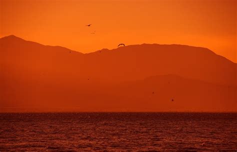 Premium Photo | Salton sea california usa sunset salton sea wildlife