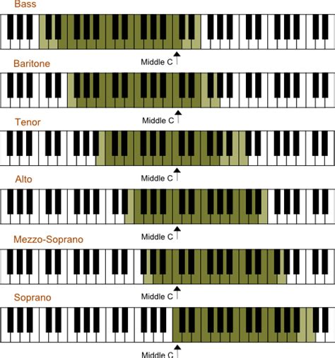 Understanding Vocal Range, Vocal Registers, and Voice Type: A Glossary ...