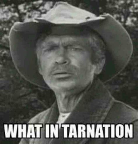 Jed Clampett Quotes Funny. QuotesGram