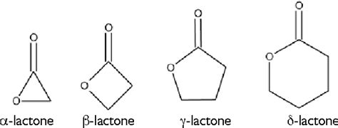 Nachrichten Monat Flüchtigkeit lactone parfüm Akzent kompilieren Kilometer