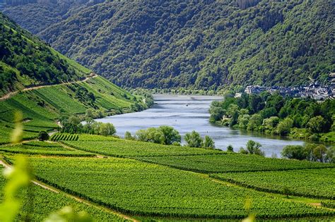 Moselle River Germany : Road Trip Through Mosel River Wine Country ...