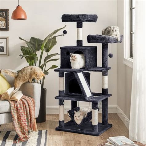 Discount Tree for Large and Small Cats