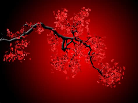 🔥 [40+] Cherry Blossom Pictures Wallpapers | WallpaperSafari