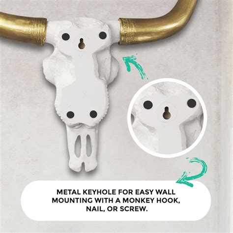 Longhorn Skull Wall Decor | Cow Skull Decor by Wall Charmers