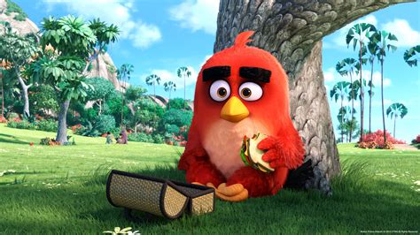 An Angry Birds Movie Sequel Is Coming