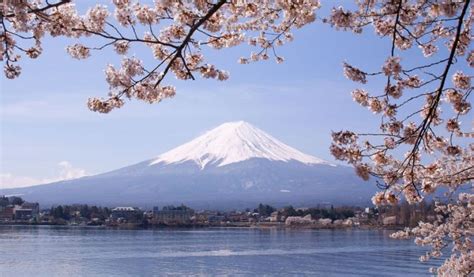 Paket Wisata Tour Ke Jepang Sakura 2018 Sakura Mekar 29 Maret – 3 April ...