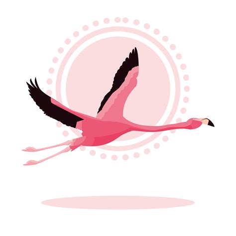 Beautiful flamingo bird flying 1330930 Vector Art at Vecteezy