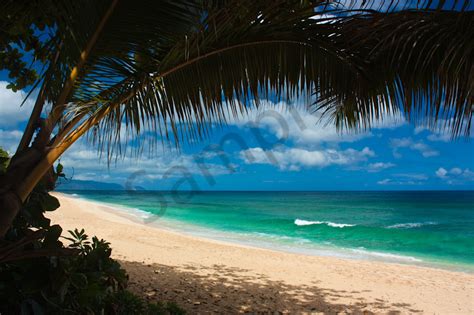 Hawaii Photography | Pupukea Beach by Douglas Page