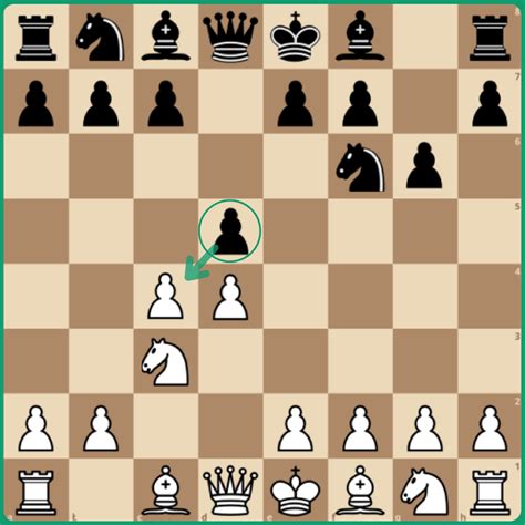 Outplaying White: A Comprehensive Guide to Chess Openings for Black