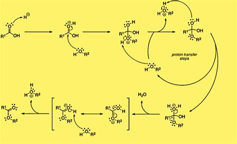 Fischer Esterification - Kemicalinfo