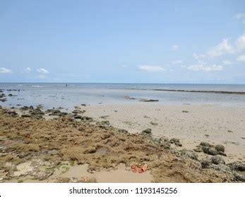 Beaches Libreville Gabon Stock Photo 1193145256 | Shutterstock