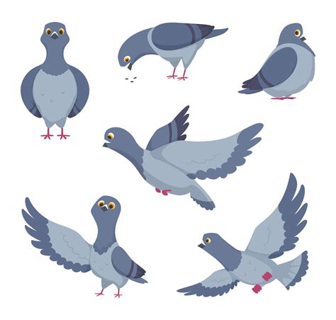 Cartoon set of funny pigeons. Illustrations of birds By ONYX ...