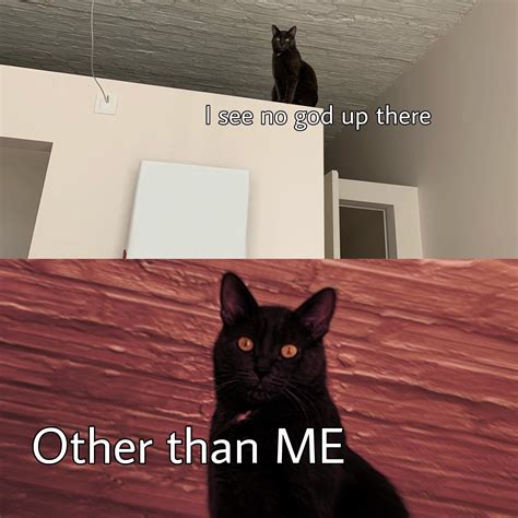 Made my own template starring my cat, Zeuz : r/memes