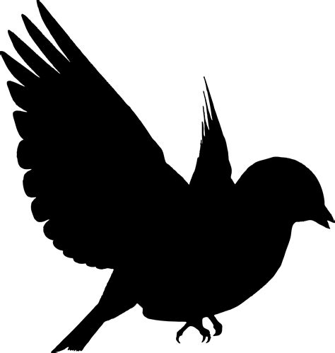 Free photo: Bird silhouette - Bird, Contour, Object - Free Download ...