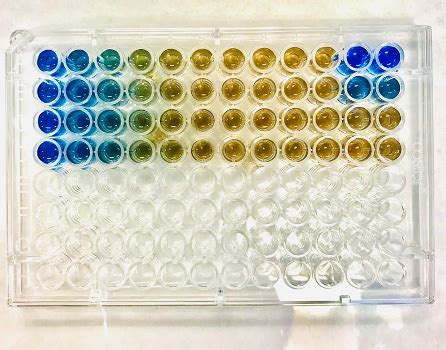 Bradford Protein Assay – NC DNA Day Blog