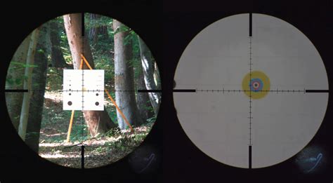 Highest Magnification Scope: Which Has The Most Zoom?