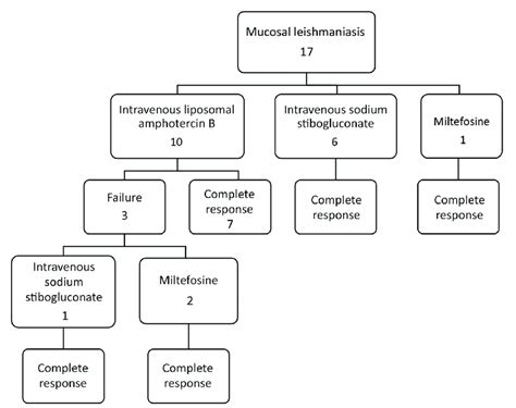 Treatment types and results for patients with mucosal leishmaniasis ...