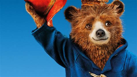 Paddington 2 Bear , Movies , , and Background HD wallpaper | Pxfuel