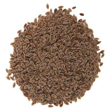 Buy Psyllium Seed Husk - Ispaghol Muslim - Plantago Ovata - اسپغول مسلم ...