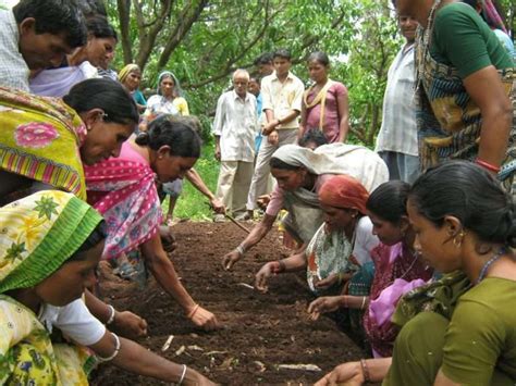 Growing a sustainable community through herbal medicine: The story of ...