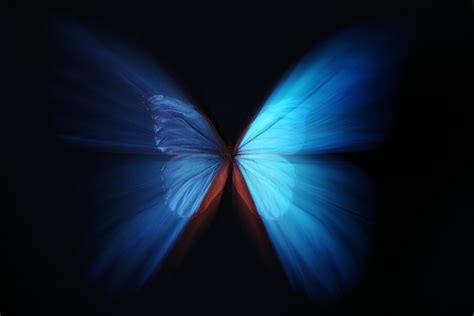 The Quantum Butterfly Noneffect Scientific American | Senior Man Trying ...