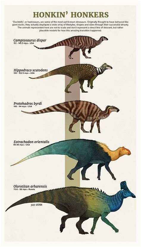 Hadrosaurus Evolution | Prehistoric animals dinosaurs, Prehistoric ...