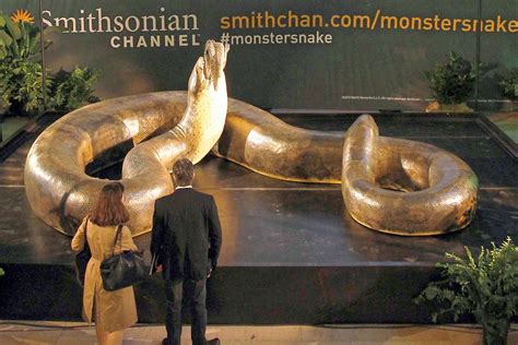 ShukerNature: GIANT ANACONDAS AND OTHER SUPER-SIZED CRYPTOZOOLOGICAL SNAKES