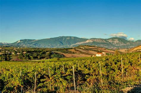 Abruzzo Wine Region - Decanter