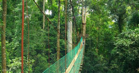 2D1N Maliau Basin Lost World Tour from Sabah, Malaysia - Klook Philippines