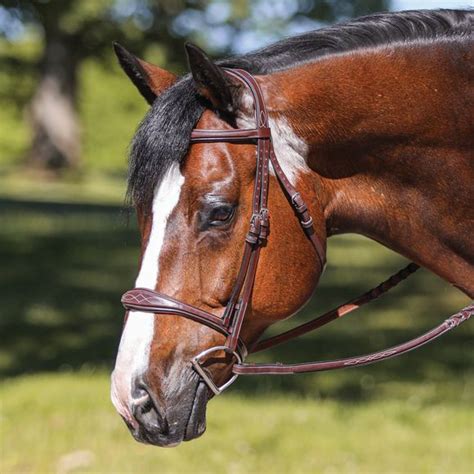 Joseph Sterling® Shaped Padded Monocrown English Bridle | Schneiders ...