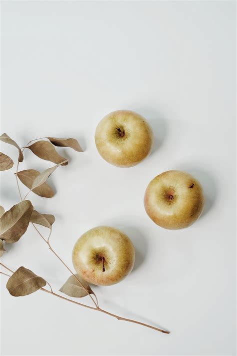 Dried Eucalyptus Branch and Apples on a White Surface · Free Stock Photo