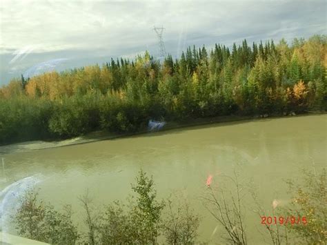 Chena River State Recreation Area (Fairbanks) - 2020 All You Need to ...