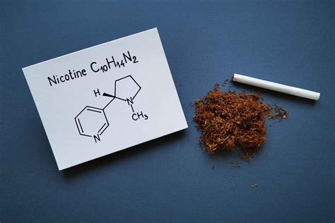 Nicotine 101 – What is nicotine? All You Need to Know