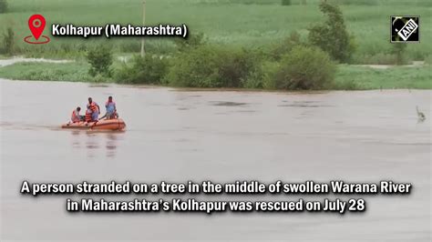 Maharashtra: Man stranded on a tree in middle of swollen Warana River ...