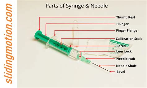 Expert Guide of Syringe Parts: Learn anatomy, functions & diagram