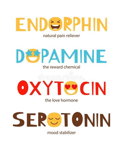 Dopamine Serotonin Oxytocin Endorphin Stock Illustrations – 119 ...