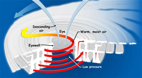 What Causes Typhoons To Form