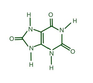 Uric Acid Formula - Structure, Properties, Uses, Sample Questions